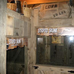 skunk exhibit - viewing windows