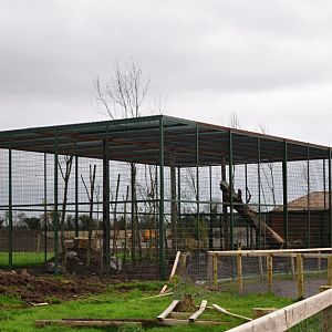 Mountain Lion enclosure, Tayto Park