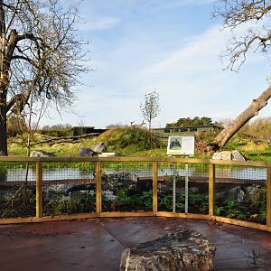 New Gorilla Habitat in Dublin Zoo