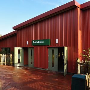 New Gorilla Habitat in Dublin Zoo