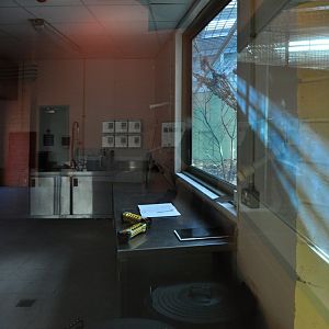 New Gorilla Habitat in Dublin Zoo