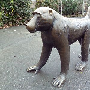 Baboon Statue