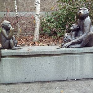 Baboon Statues
