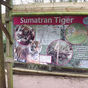 Sumatran tiger signage at South Lakes WAP 26/11/11
