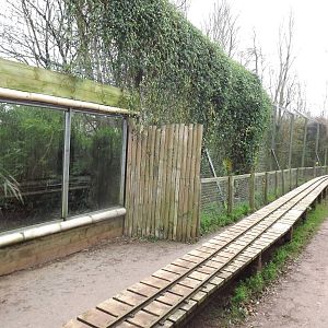 Sumatran tiger enclosure at South Lakes WAP 26/11/11
