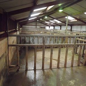 Rhino stalls at South Lakes WAP 26/11/11