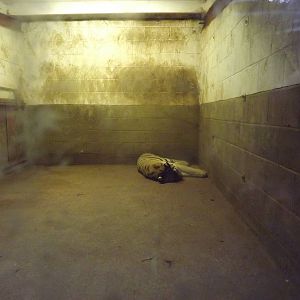 Indoor cat area at South Lakes WAP 26/11/11