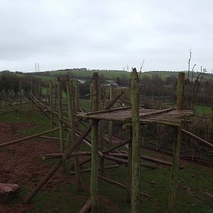 Bears of the Andes at South Lakes WAP 26/11/11