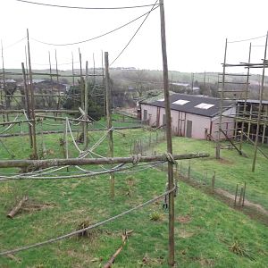 Monkey enclosures at South Lakes WAP 26/11/11