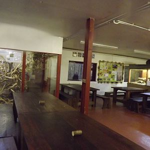 Reptile enclosures at South Lakes WAP 26/11/11