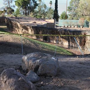 elephant exhibit - first look