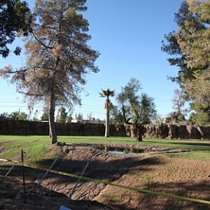 elephant exhibit - first look