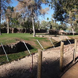 elephant exhibit - first look