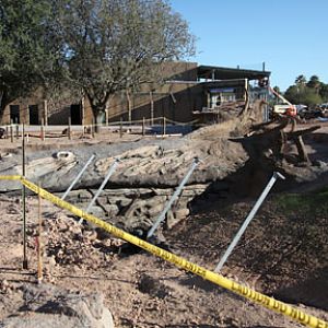 elephant exhibit - first look