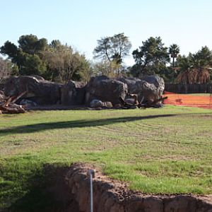 elephant exhibit - first look