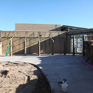 elephant exhibit - first look