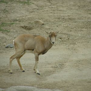 san_diego_2009_set_2_140