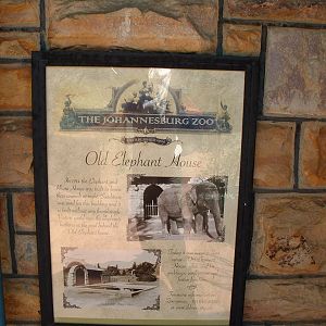 Johannesburg Zoo - Oct 2011