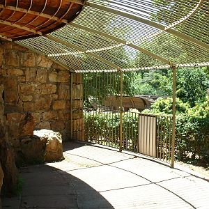 Johannesburg Zoo - Oct 2011