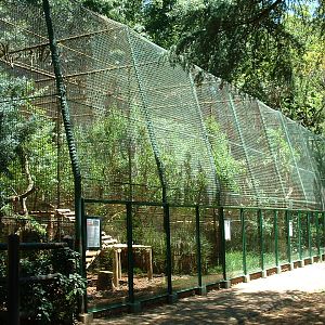 Johannesburg Zoo - Oct 2011
