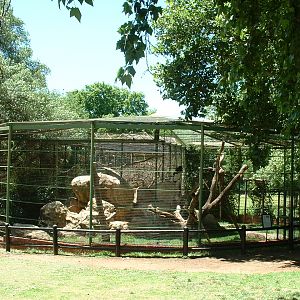 Johannesburg Zoo - Oct 2011