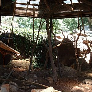 Johannesburg Zoo - Oct 2011