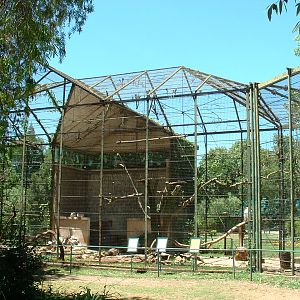 Johannesburg Zoo - Oct 2011