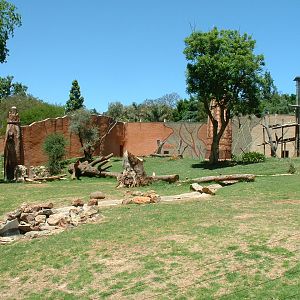 Johannesburg Zoo - Oct 2011