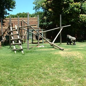 Johannesburg Zoo - Oct 2011