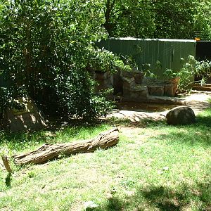 Johannesburg Zoo - Oct 2011