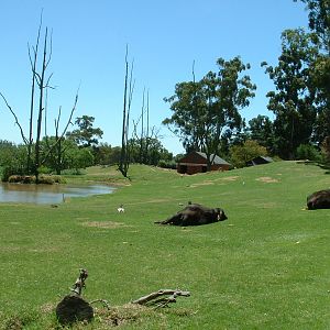 Johannesburg Zoo - Oct 2011