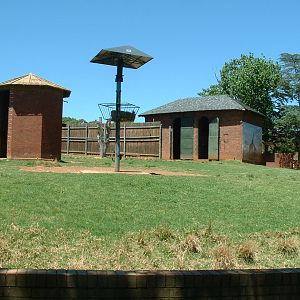 Johannesburg Zoo - Oct 2011