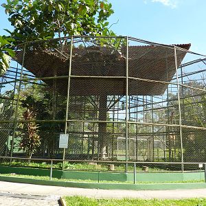 Harpy eagle enclosure