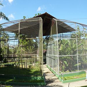 Macaw aviaries