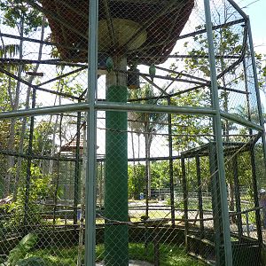 Mixed-species parrot aviary