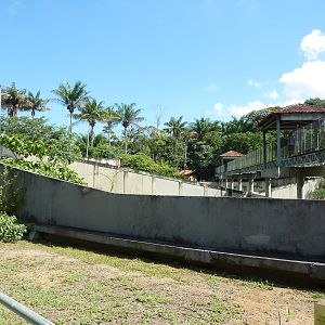 Bridge over big cat complex