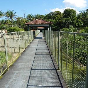 Bridge over big cat complex