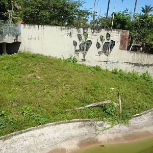 Jaguar enclosure