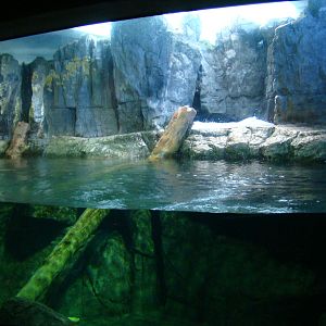 Aquarium of the Pacific