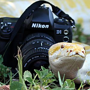 Missing Photographer