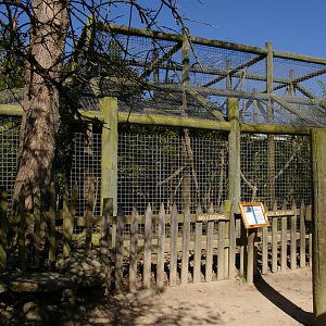 chimpanzee cage