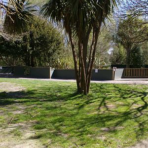 Small-clawed Otter enclosure