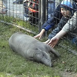 In need of affection...