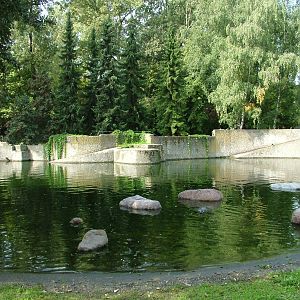 Grey Seal pool at Warsaw Zoo Sept 2008