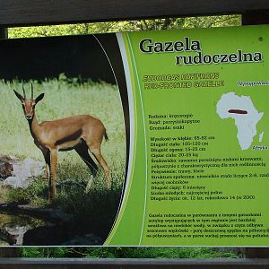 Example of signage at Warsaw Zoo Sept 2008