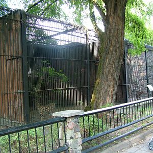 Serval cages at Warsaw Zoo Sept 2008