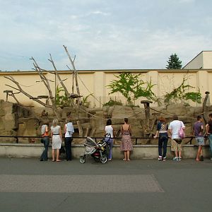 Mini Baboon Rock at Warsaw Zoo Sept 2008