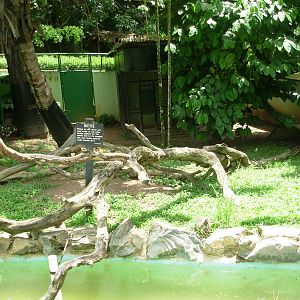 South American River Otter Exhibit