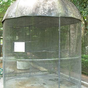 Short Tailed Fruit Bat Cage
