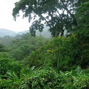Asa Wright Nature Centre - Trinidad & Tobago
